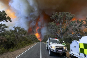 Los incendios calcinan más de 55.000 hectáreas en un parque nacional en Australia - AlbertoNews