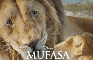 Los rugidos de «Mufasa» comienzan a escucharse desde este viernes en los cines