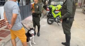 Medida correctiva a hombre que lanzó artefacto pirotécnico a un perro – Diario La Nación