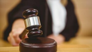 Mujer denunció a su esposo ante la justicia por prestarle más atención al gato que a ella