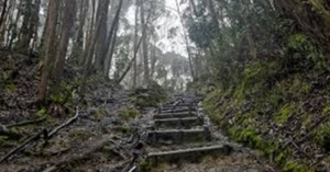 Recomendaciones para visitar los senderos de Bogotá en diciembre