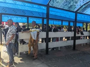Reportan repunte migratorio por la frontera de Táchira: Hasta 300 pasaportes venezolanos sellan, por jornada, en taquillas de San Antonio