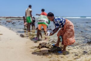 Solo un cambio transformador salvará un planeta en peligro, alerta Ipbes : IPS Agencia de Noticias