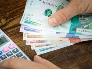 Van 19 meses en negativo del crédito | Economía