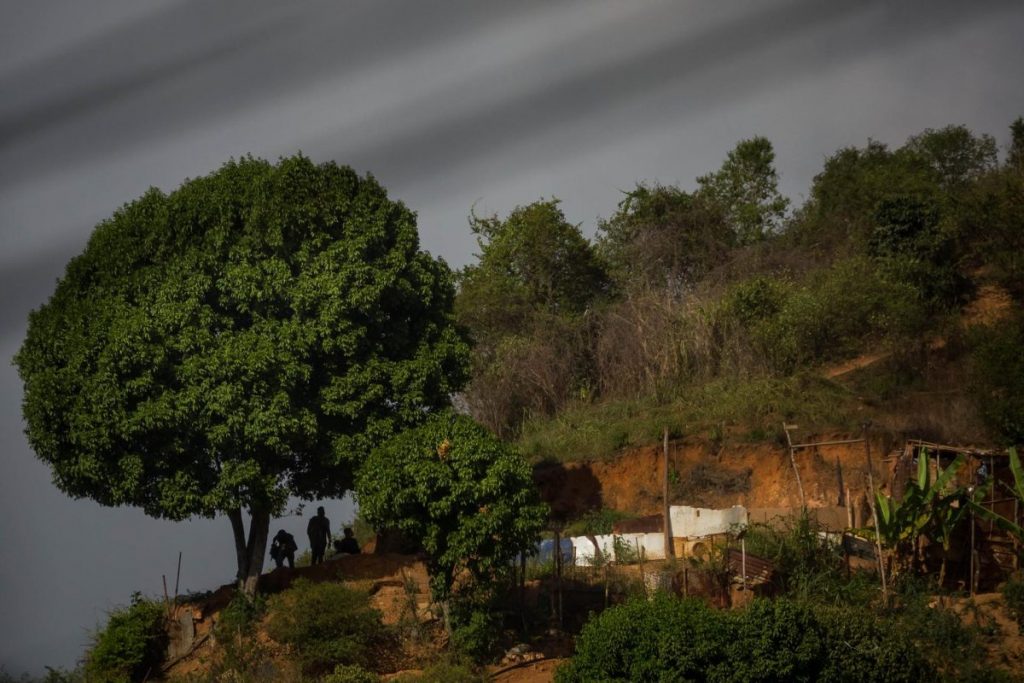 Venezuela ha perdido 32.600 kilómetros cuadrados de sus bosques en 39 años
