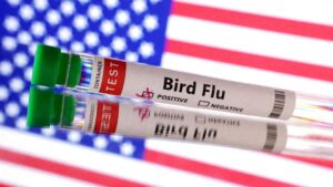 Virus de la gripe aviar muestra mutaciones en primer caso humano grave en Estados Unidos