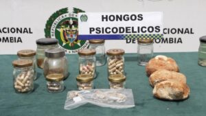 así cayó banda que vendía por internet