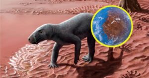 descubren el ancestro más antiguo de los mamíferos y tiene 280 millones de años