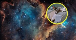 el papel clave de los animales en los primeros vuelos al espacio