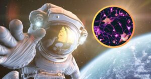 en el espacio nos hacemos más inteligentes