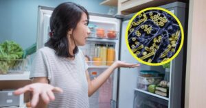 este alimento popular puede albergar virus infecciosos durante días si lo consumes crudo
