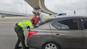 movilidad durante temporada de fin de año 2024