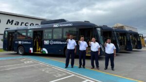 nueva flota de buses para Transmetro