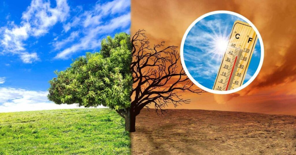 se convierte en el año más cálido de la historia y supera todas las proyecciones