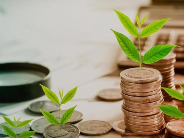 ¿Cuándo se pagan los intereses de cesantías 202 | Finanzas | Economía
