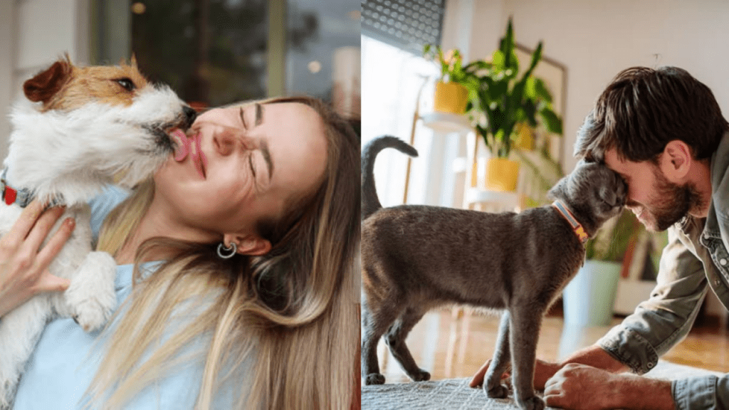 ¿Pensando en adoptar una mascota? Consejos para saber si usted y su familia están listos para tener un animal en casa