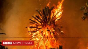 5 imágenes que explican la rápida propagación de los incendios en Los Ángeles