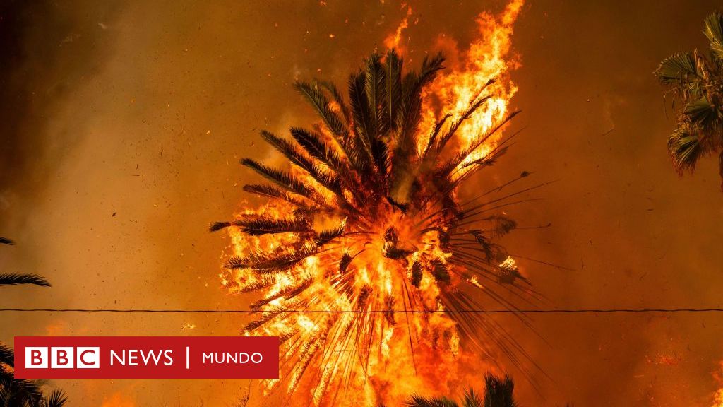 5 imágenes que explican la rápida propagación de los incendios en Los Ángeles