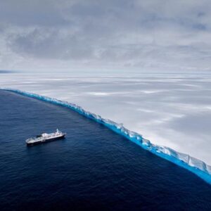 Alerta por el iceberg más grande del mundo: está a punto de colisionar con un santuario vital para los animales