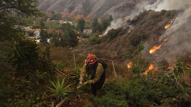 Ascienden a 16 los muertos por los incendios forestales en la ciudad californiana de Los Ángeles