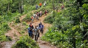Cae más de 90% el cruce de migrantes por la selva del Darién