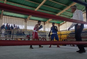 Carabobo: más de 14 clubes de boxeo rumbo a conformar selección regional - Venprensa