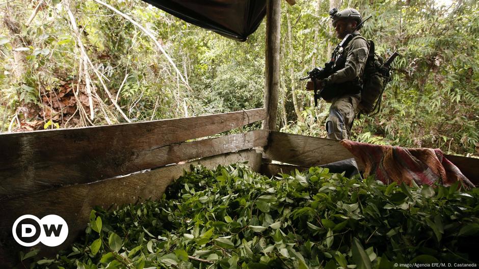 Colombia inicia ofensiva militar contra ELN en Catatumbo – DW – 25/01/2025