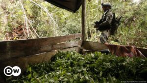 Colombia inicia ofensiva militar contra ELN en Catatumbo – DW – 25/01/2025