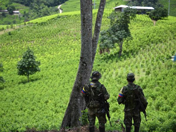 Colombia pide ayuda a Venezuela para enfrentar violencia en el Catatumbo: ¿qué harán? | Gobierno | Economía