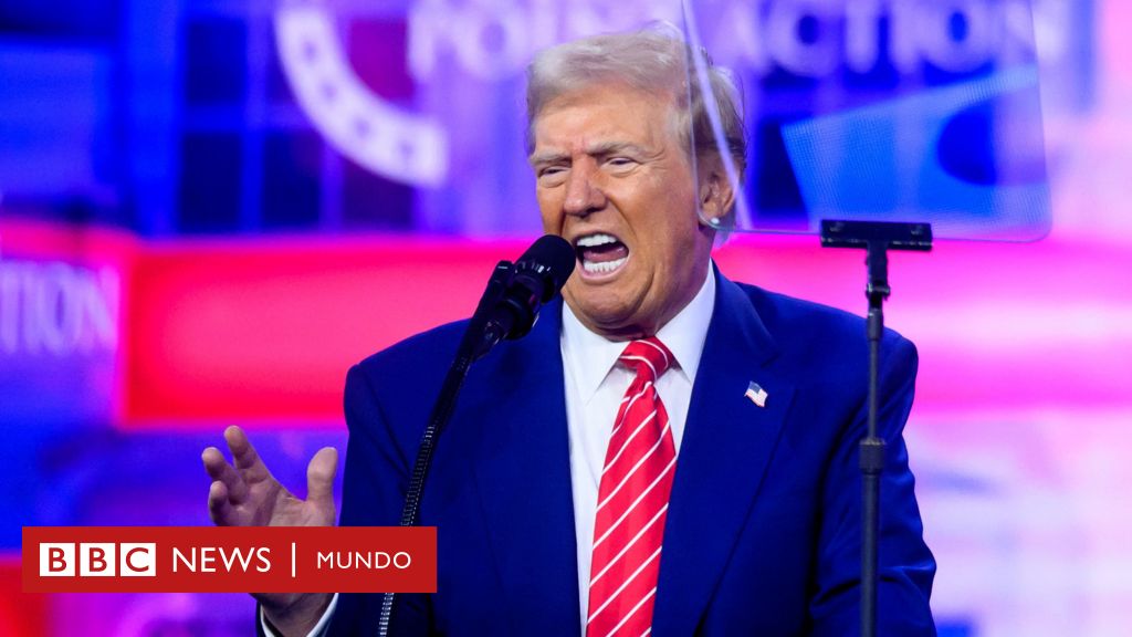 Cuáles son los contrapesos que tendrá el poder casi absoluto de Donald Trump en la Casa Blanca