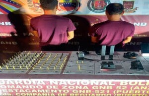 Detenidos cuatro falsos agentes por tráfico de armas y personas