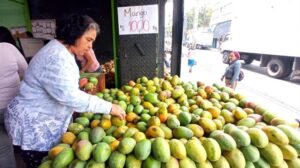 El mango y su relación con la digestión saludable