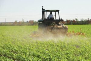 En 2024 la cantidad de hectáreas para siembra de vegetales se redujo 43% por falta de financiamiento