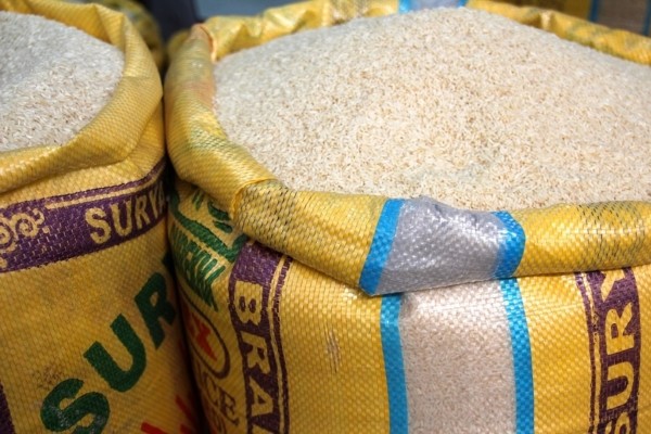 En 2025 estiman incrementar en 4,34% la producción de arroz en Guárico
