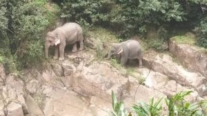 Exteriores confirma la muerte por accidente de una turista española en Tailandia
