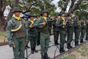FAN: Defensa de soberanía se basa en fusión popular, militar y policial