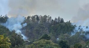 FANB expresó sus condolencias por el accidente aéreo ocurrido en El Hatillo