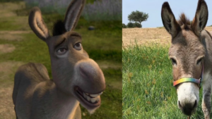 Fallece Perry, el burro miniatura que inspiró al personaje de 'Burro' en Shrek