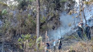 Fallecen tripulantes de una avioneta que se precipitó en El Hatillo