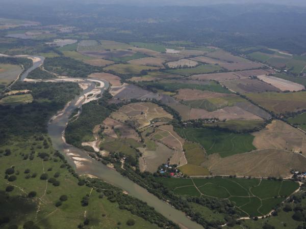 Gobierno Petro sugiere a Venezuela enfrentar 'juntos' a la guerrilla ELN | Gobierno | Economía