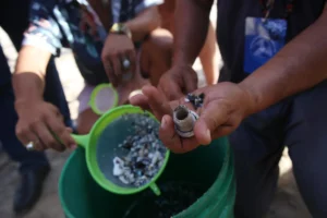 Investigadores españoles y portugueses crean un modelo matemático para detectar microplásticos en el mar - AlbertoNews