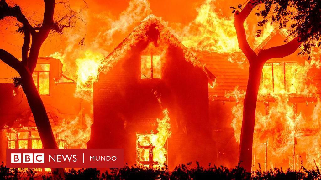 Las imágenes de la devastación que dejan los incendios en Los Ángeles