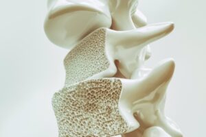 Los científicos rompen el mito del microbioma intestinal y su relación con la pérdida ósea
