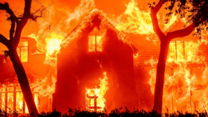 Los incendios en Los Ángeles causaron cinco muertos y más de 11.000 hectáreas afectadas