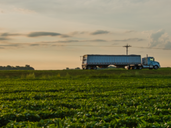 Los precios agropecuarios cerraron el 2024 con un aumento del 0,9% | Agro | Economía