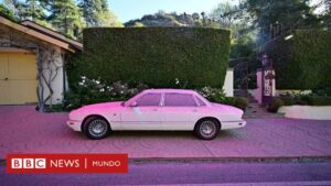 Qué es el polvo rosa con el que se combaten los incendios en Los Angeles
