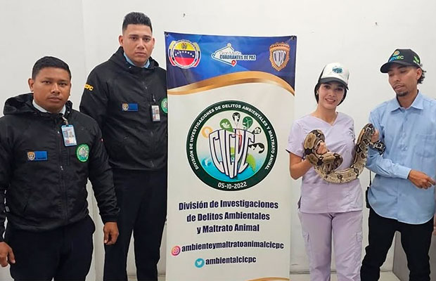 Rescatada tragavenado que permanecía en cautiverio en Casalta