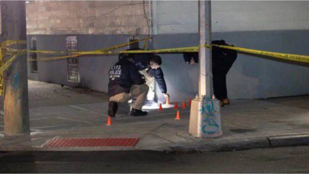 Tiroteo en Nueva York frente a un club nocturno causó al menos 11 heridos