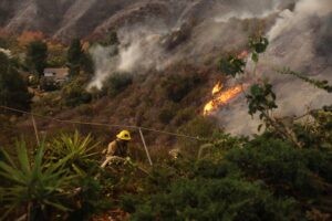 Trump califica de "incompetentes" a políticos a cargo de los incendios en Los Ángeles ////