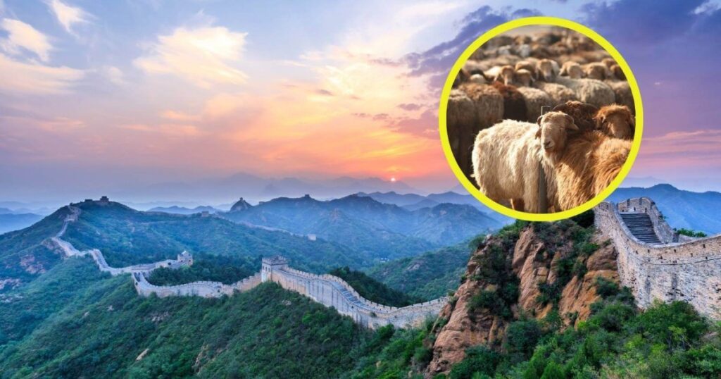 Un hallazgo arqueológico revela el uso real de un tramo olvidado de la Gran Muralla China, cambiando por completo lo que creíamos saber sobre su historia y propósito